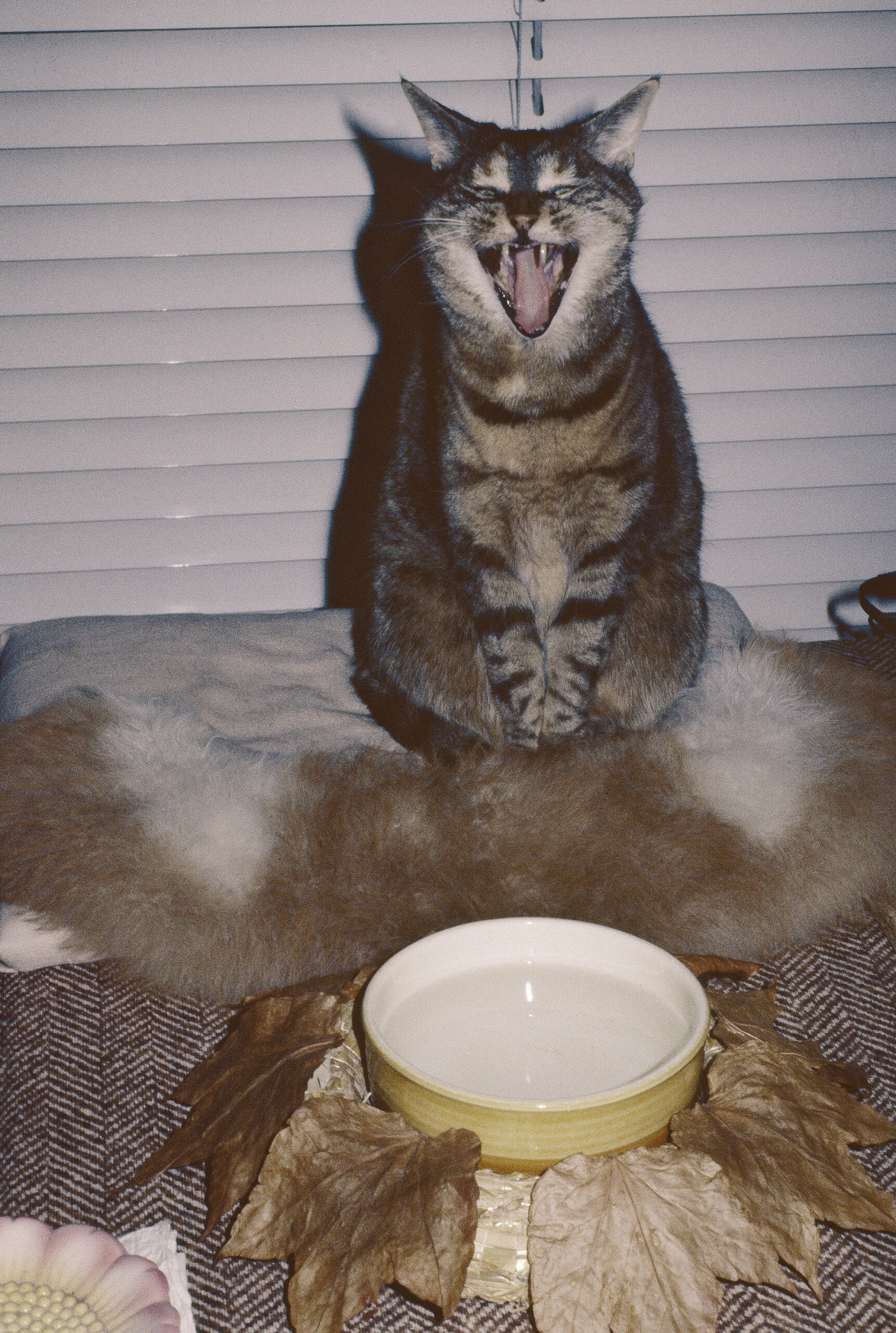 Walter Pfeiffer, <em>Untitled</em>, 1985″>
		</div>
		<div class=