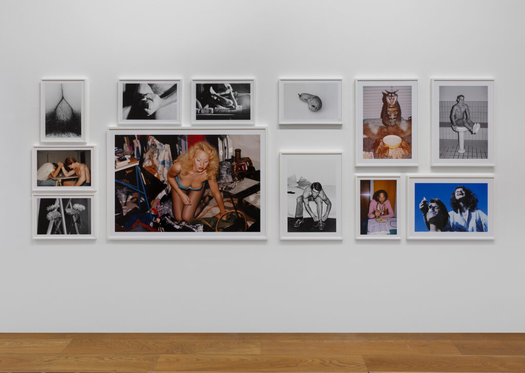 Installation view of Walter Pfeiffer: In Good Company, 2026